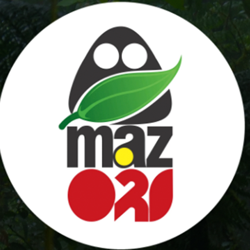 amazoridelivery.com
